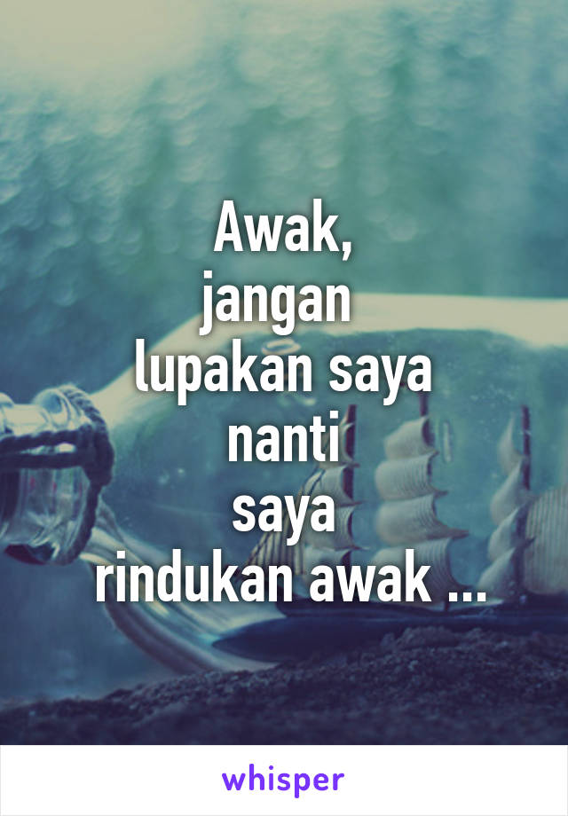 Awak,
jangan 
lupakan saya
 nanti 
saya
 rindukan awak ...