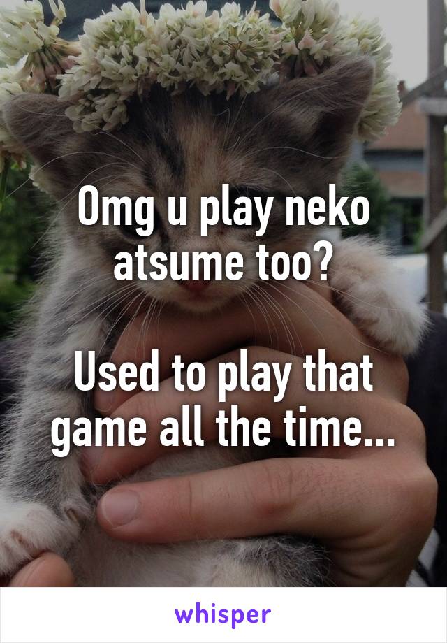 Omg u play neko atsume too?

Used to play that game all the time...