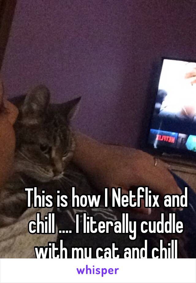 This is how I Netflix and chill .... I literally cuddle with my cat and chill