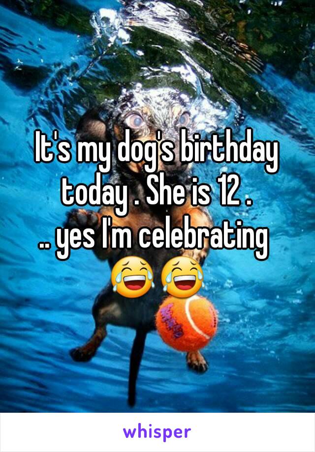 It's my dog's birthday today . She is 12 . 
.. yes I'm celebrating 
😂😂