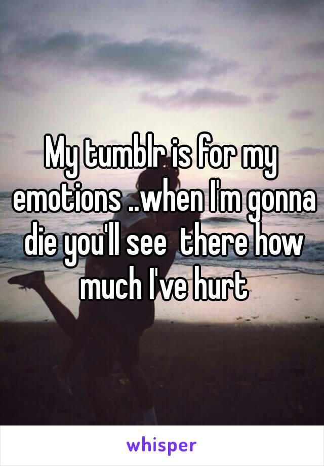 My tumblr is for my emotions ..when I'm gonna die you'll see  there how much I've hurt