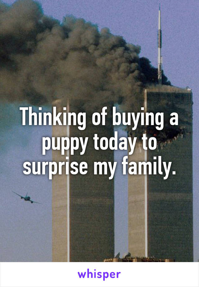 Thinking of buying a puppy today to surprise my family.