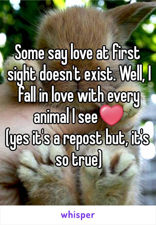 Some say love at first sight doesn't exist. Well, I fall in love with every animal I see❤
(yes it's a repost but, it's so true)