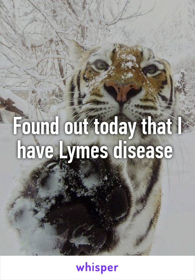 Found out today that I have Lymes disease 