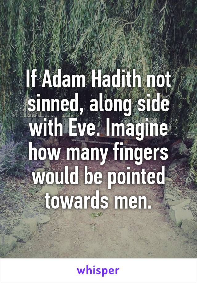 If Adam Hadith not sinned, along side with Eve. Imagine how many fingers would be pointed towards men.