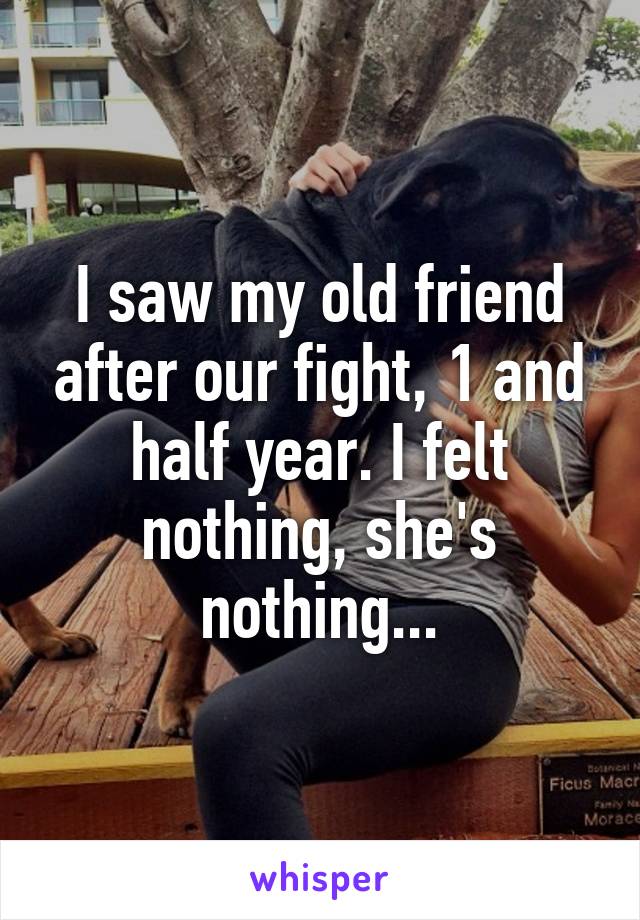 I saw my old friend after our fight, 1 and half year. I felt nothing, she's nothing...