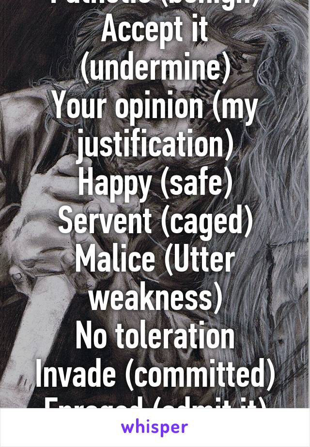 Pathetic (benign)
Accept it (undermine)
Your opinion (my justification)
Happy (safe)
Servent (caged)
Malice (Utter weakness)
No toleration
Invade (committed)
Enraged (admit it)
