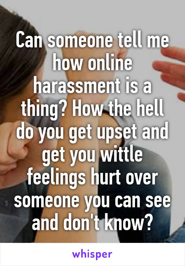 Can someone tell me how online harassment is a thing? How the hell do you get upset and get you wittle feelings hurt over someone you can see and don't know?