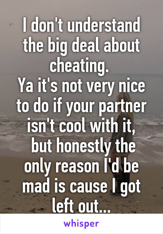 I don't understand the big deal about cheating. 
Ya it's not very nice to do if your partner isn't cool with it,
 but honestly the only reason I'd be mad is cause I got left out...