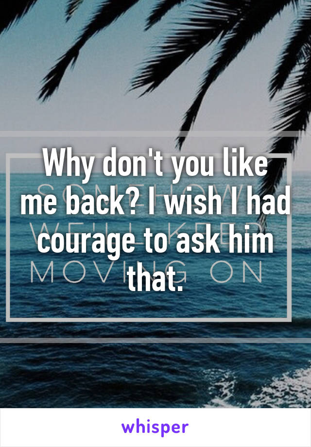 Why don't you like me back? I wish I had courage to ask him that.