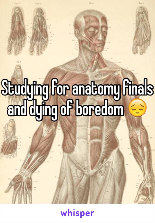 Studying for anatomy finals and dying of boredom 😔