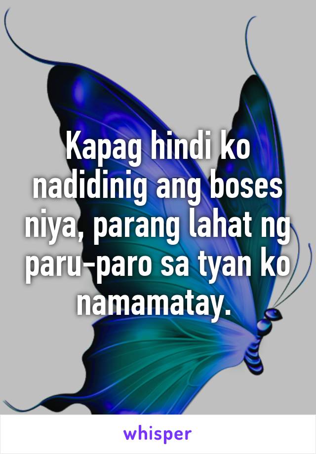 Kapag hindi ko nadidinig ang boses niya, parang lahat ng paru-paro sa tyan ko namamatay. 