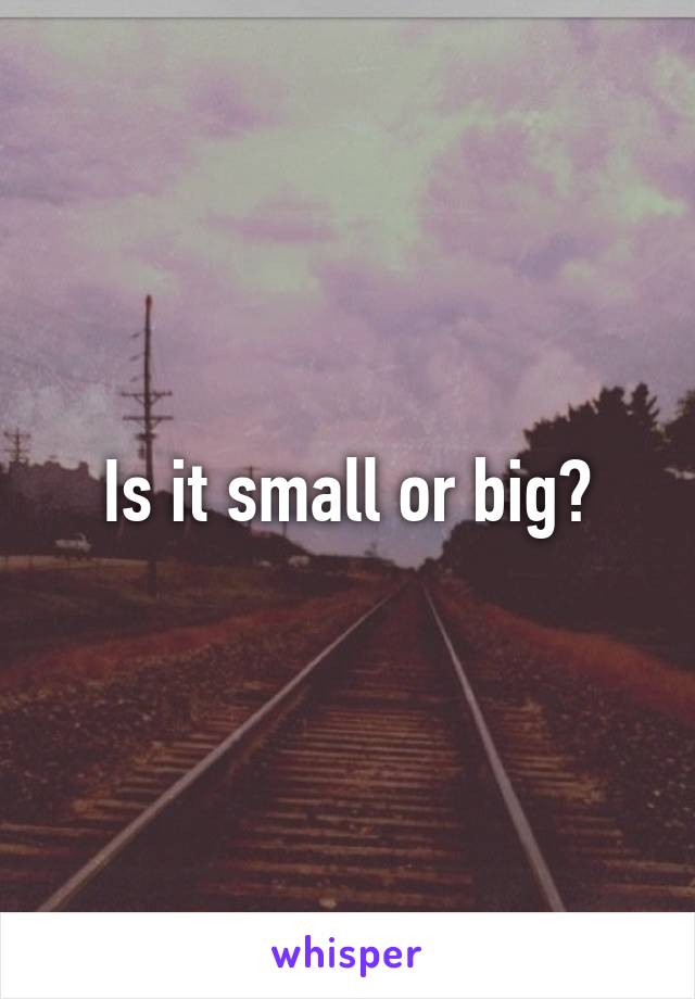 Is it small or big?