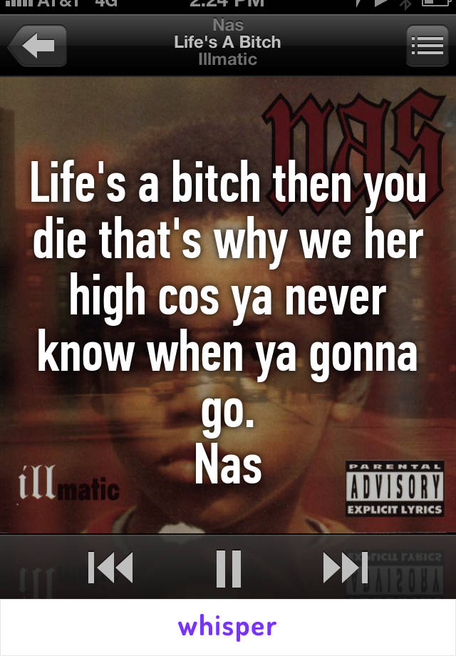 Life's a bitch then you die that's why we her high cos ya never know when ya gonna go.
Nas