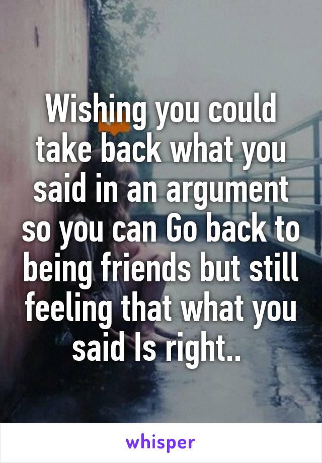 Wishing you could take back what you said in an argument so you can Go back to being friends but still feeling that what you said Is right.. 