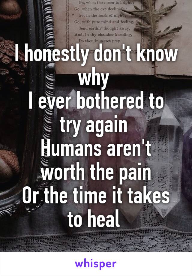 I honestly don't know why 
I ever bothered to try again 
Humans aren't worth the pain
Or the time it takes to heal 