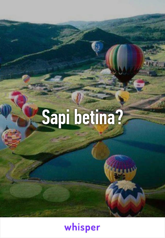 Sapi betina?