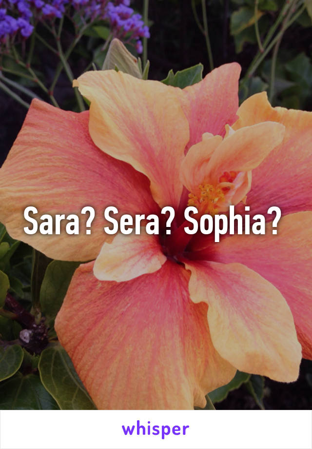 Sara? Sera? Sophia? 