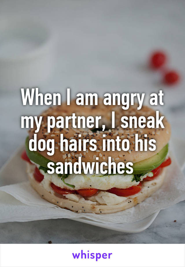 When I am angry at my partner, I sneak dog hairs into his sandwiches 