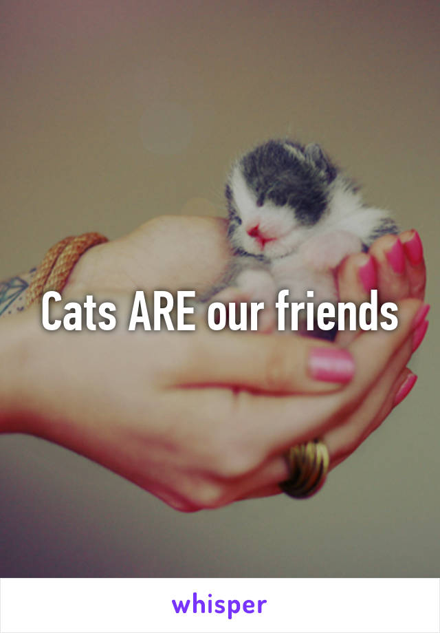 Cats ARE our friends