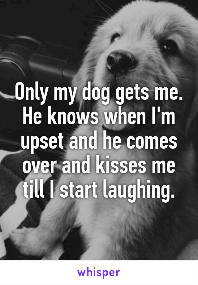 Only my dog gets me.
He knows when I'm upset and he comes over and kisses me till I start laughing.