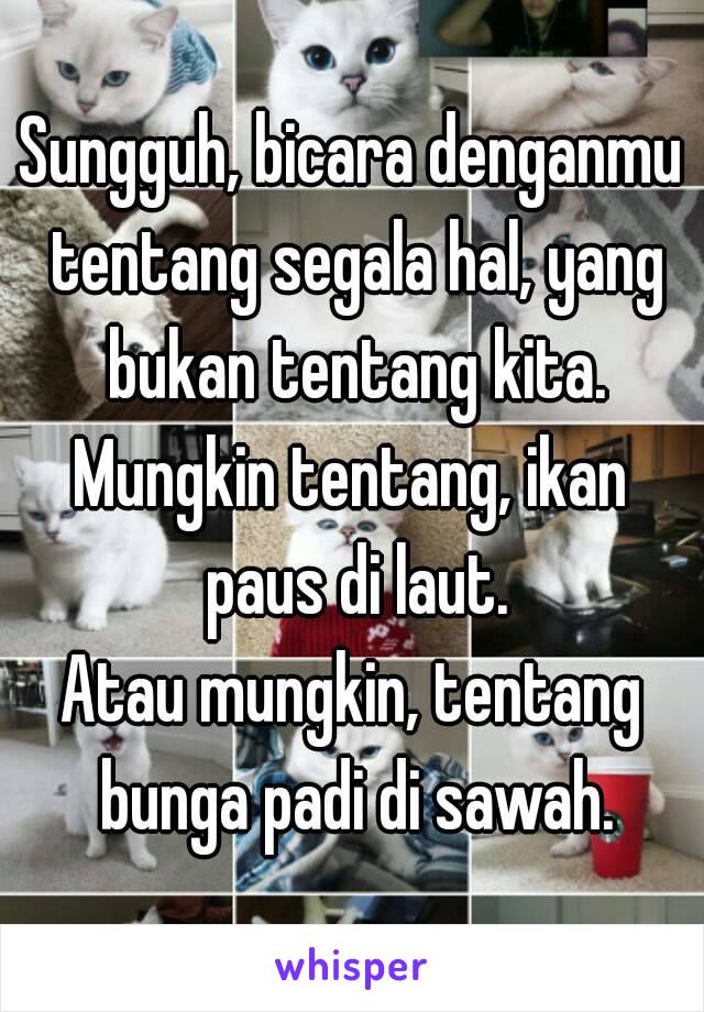 Sungguh, bicara denganmu tentang segala hal, yang bukan tentang kita.
Mungkin tentang, ikan paus di laut.
Atau mungkin, tentang bunga padi di sawah.