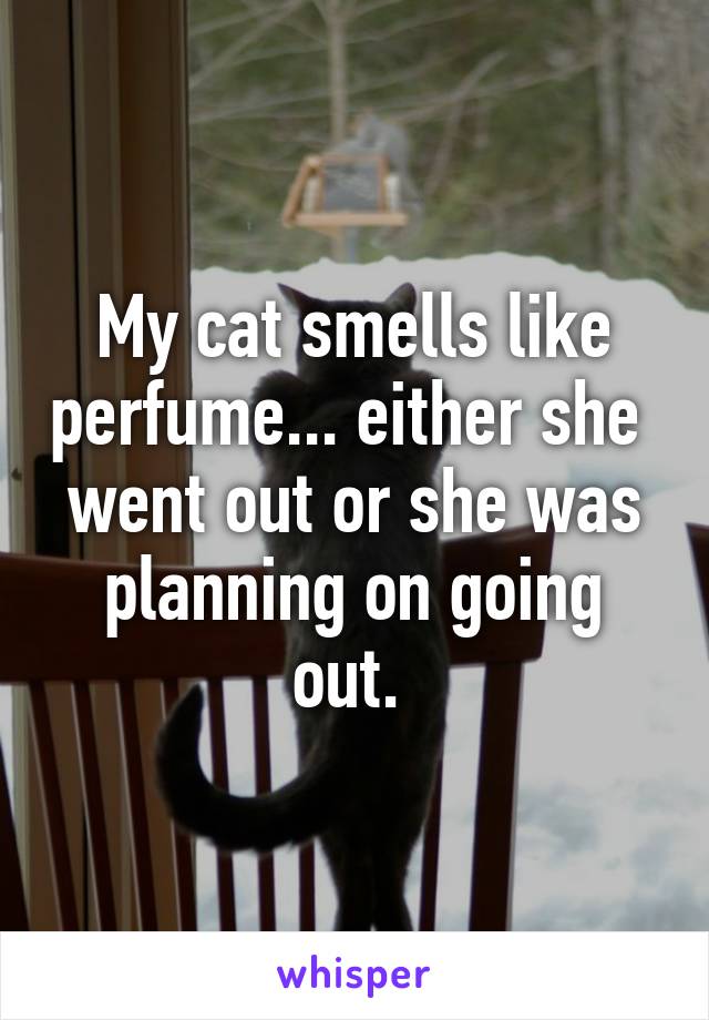 My cat smells like perfume... either she  went out or she was planning on going out. 