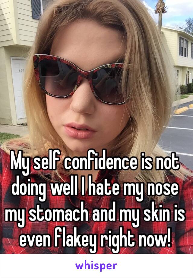 My self confidence is not doing well I hate my nose my stomach and my skin is even flakey right now! 