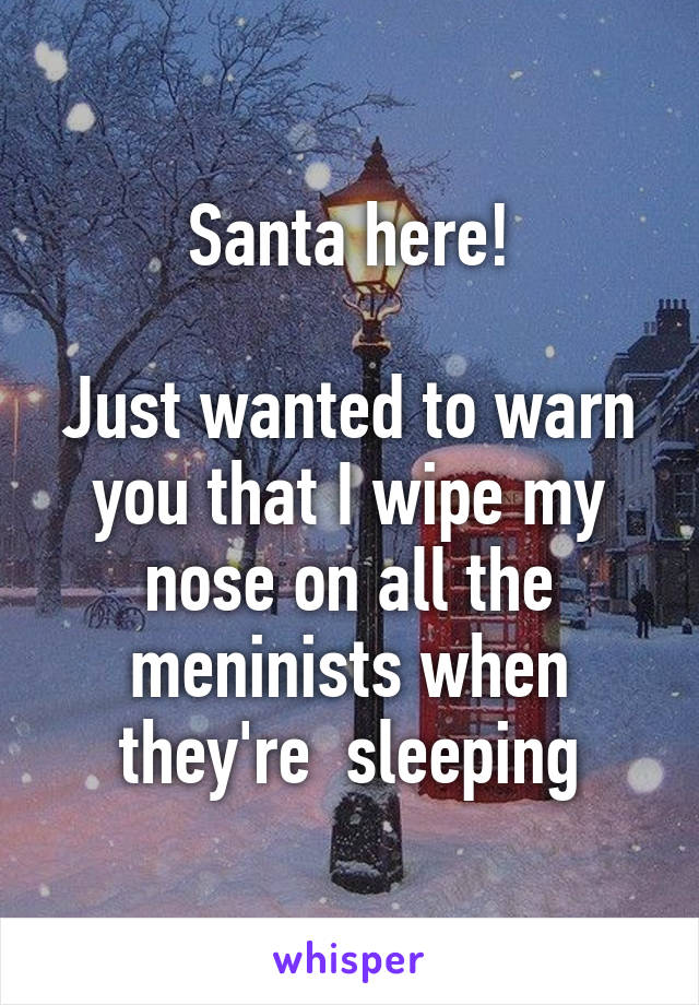 Santa here!

Just wanted to warn you that I wipe my nose on all the meninists when they're  sleeping