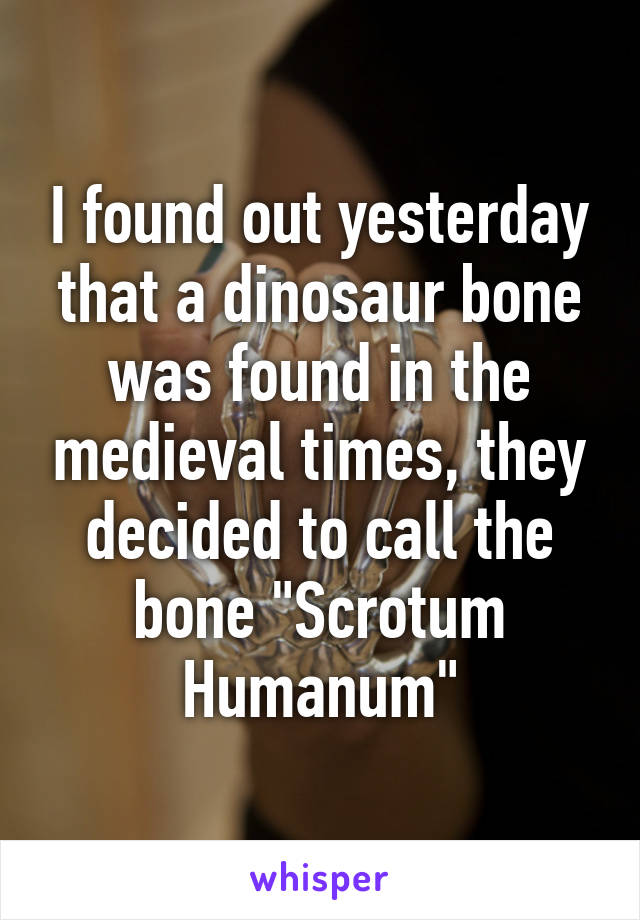 I found out yesterday that a dinosaur bone was found in the medieval times, they decided to call the bone "Scrotum Humanum"