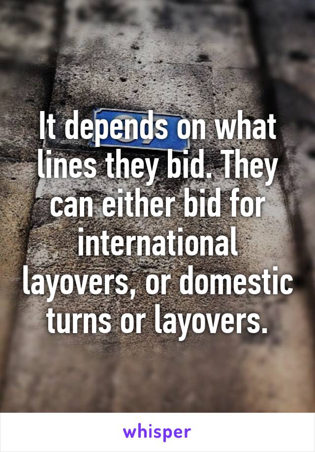 It depends on what lines they bid. They can either bid for international layovers, or domestic turns or layovers.