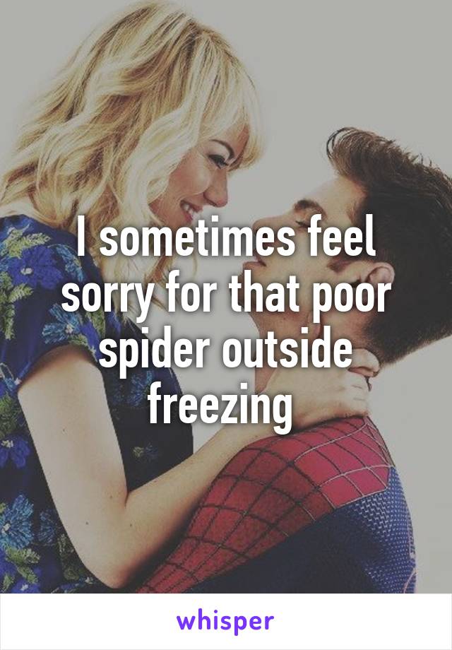 I sometimes feel sorry for that poor spider outside freezing 