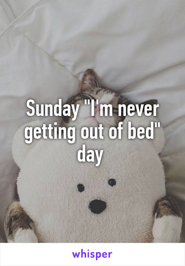 Sunday "I'm never getting out of bed" day 