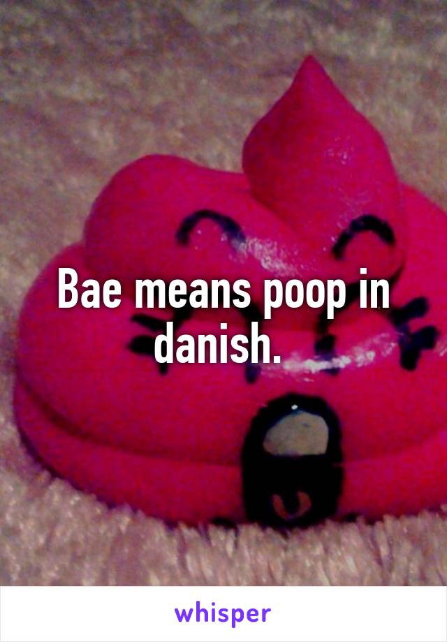 Bae means poop in danish. 