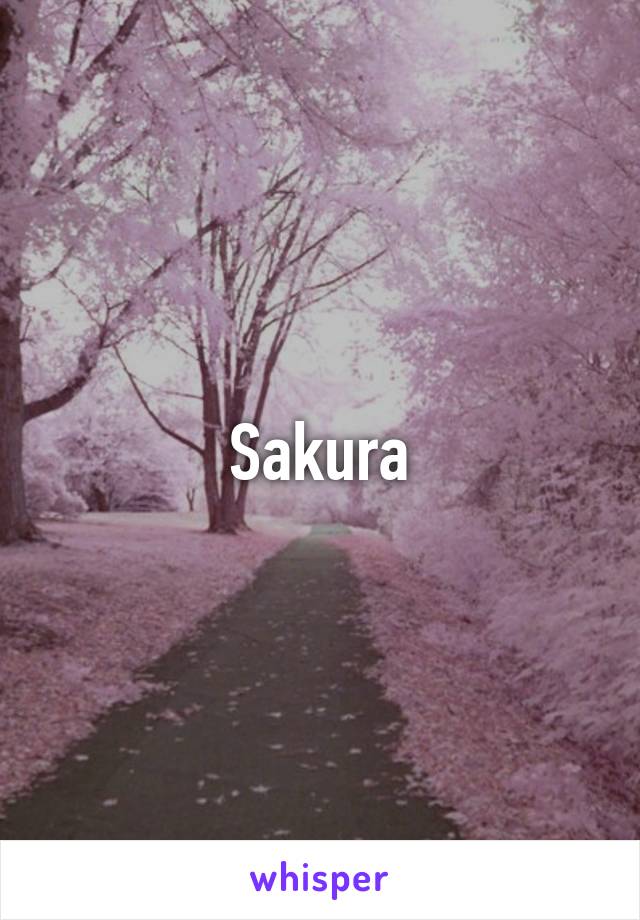 Sakura