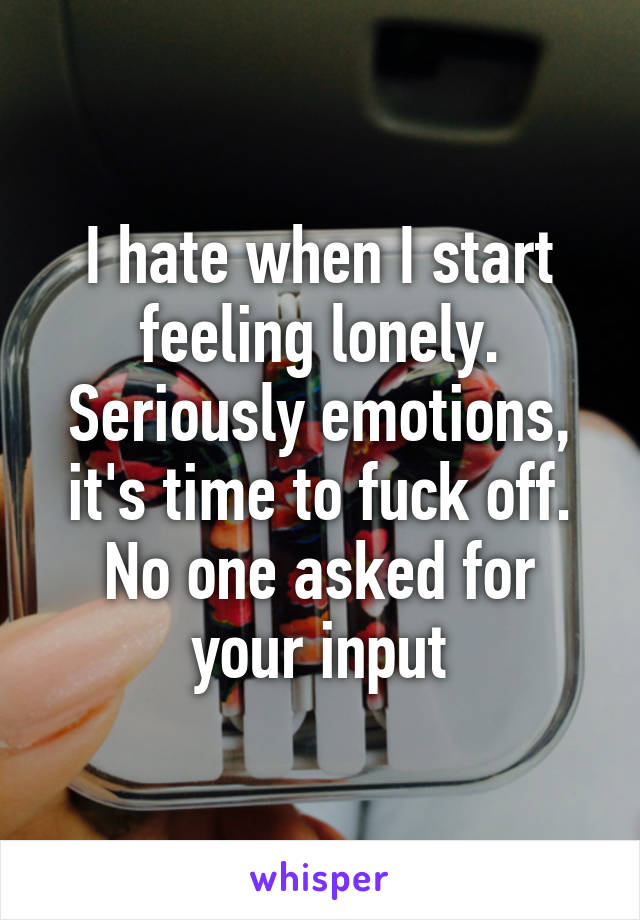 I hate when I start feeling lonely. Seriously emotions, it's time to fuck off. No one asked for your input