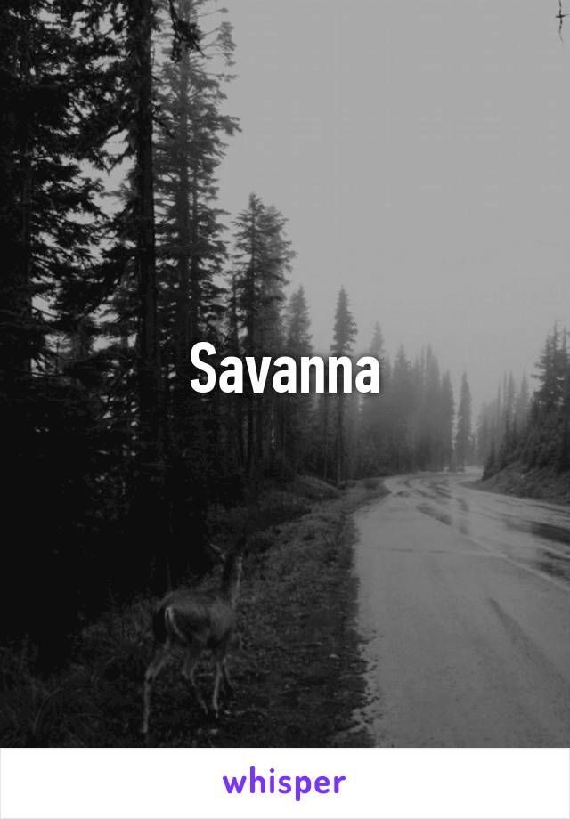 Savanna
