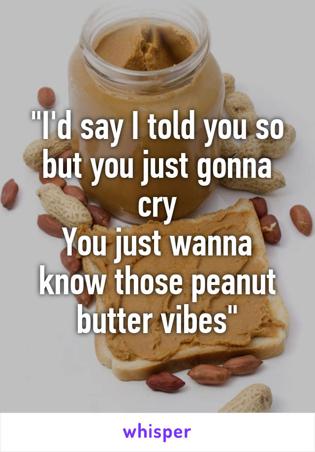 "I'd say I told you so but you just gonna cry
You just wanna know those peanut butter vibes"