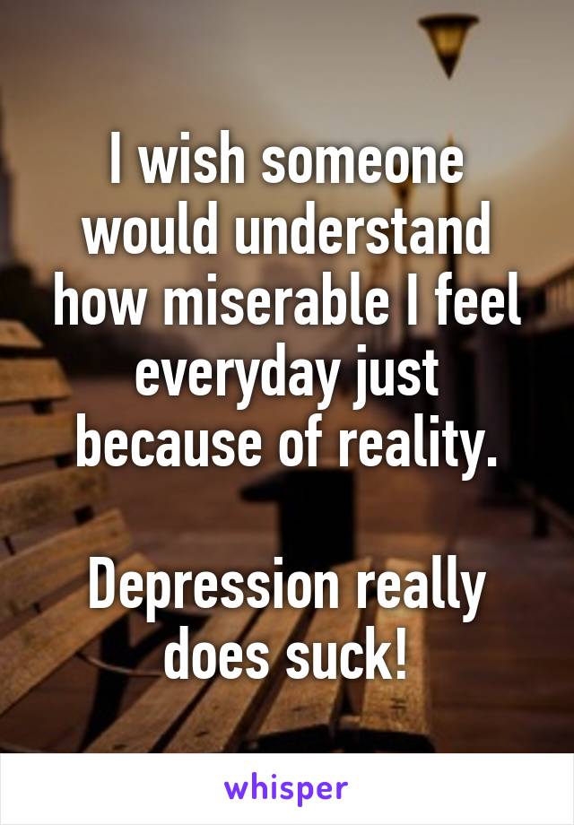 I wish someone would understand how miserable I feel everyday just because of reality.

Depression really does suck!