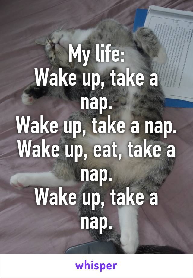 My life:
Wake up, take a nap.
Wake up, take a nap.
Wake up, eat, take a nap.
Wake up, take a nap.