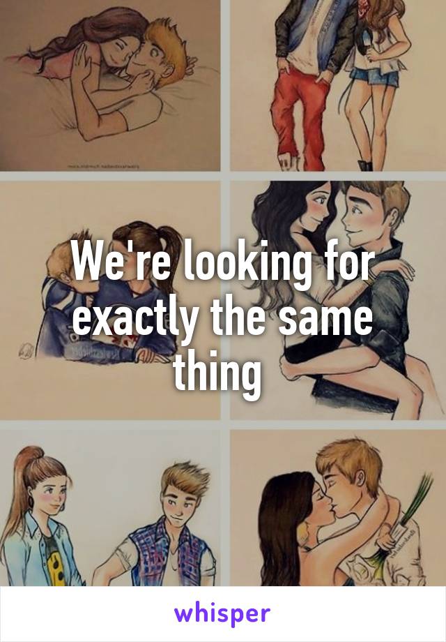 We're looking for exactly the same thing 