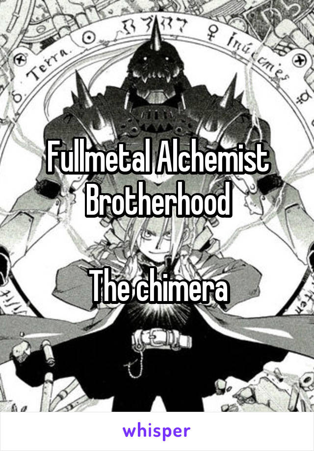 Fullmetal Alchemist Brotherhood

The chimera