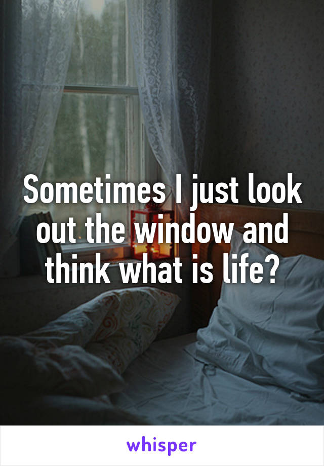 Sometimes I just look out the window and think what is life?