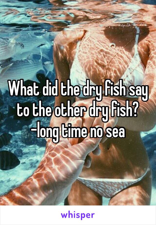 What did the dry fish say to the other dry fish?                    -long time no sea