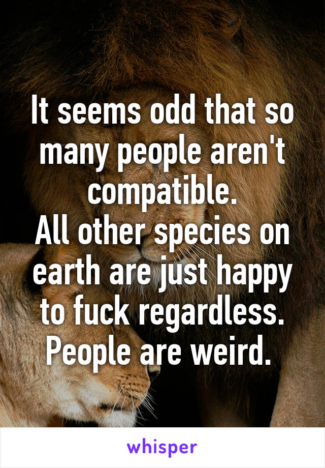 It seems odd that so many people aren't compatible.
All other species on earth are just happy to fuck regardless.
People are weird. 