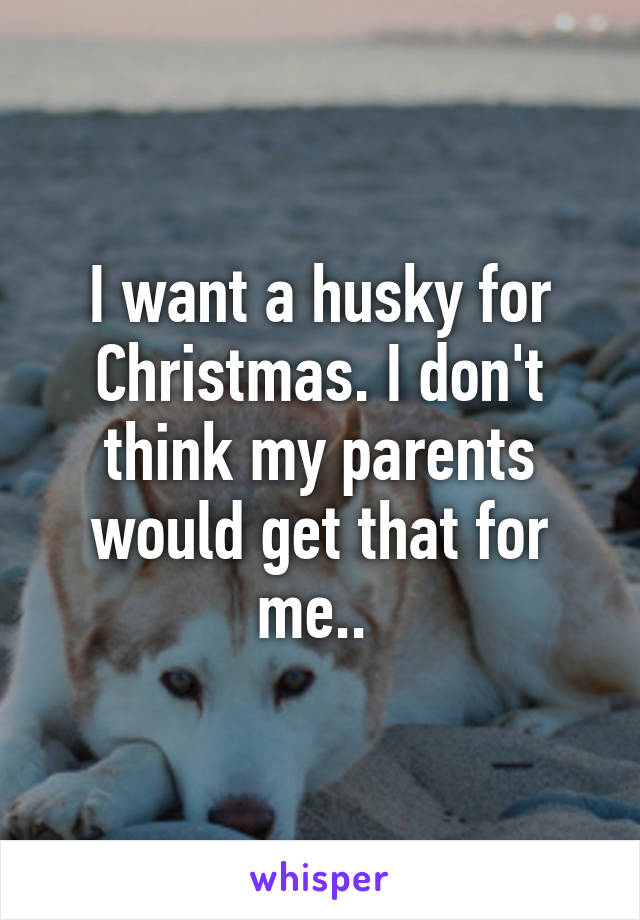 I want a husky for Christmas. I don't think my parents would get that for me.. 