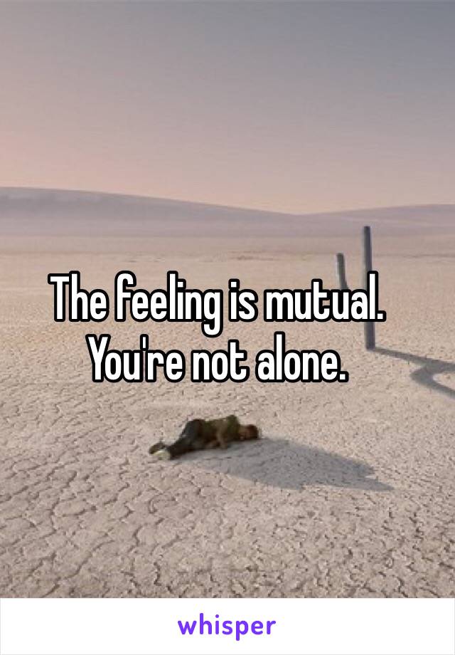 The feeling is mutual. You're not alone.