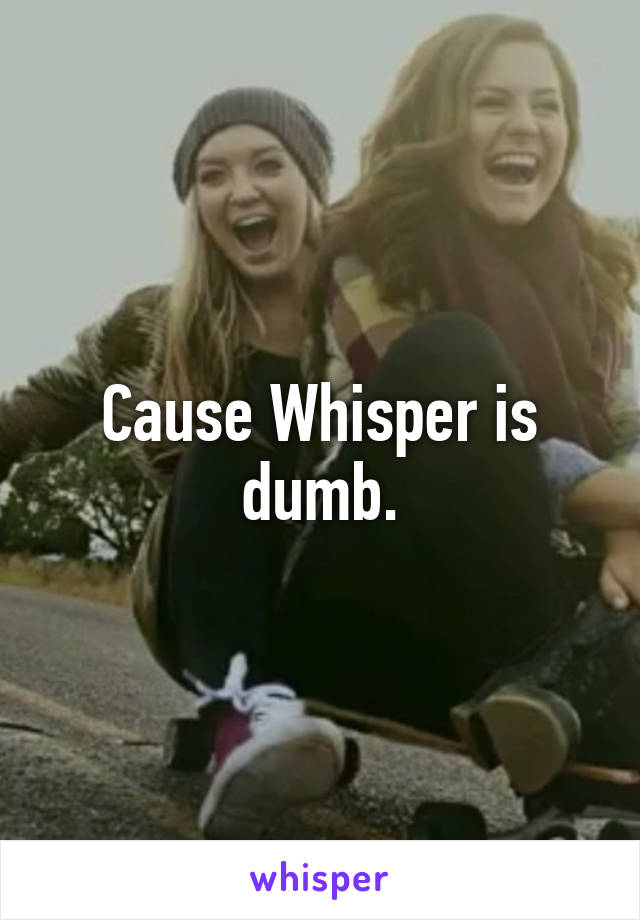 Cause Whisper is dumb.