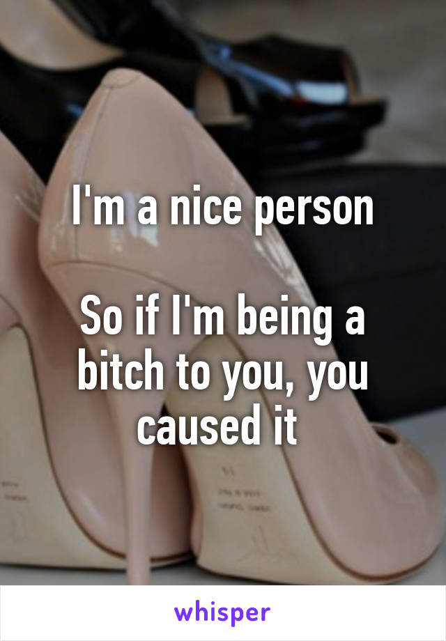 I'm a nice person

So if I'm being a bitch to you, you caused it 