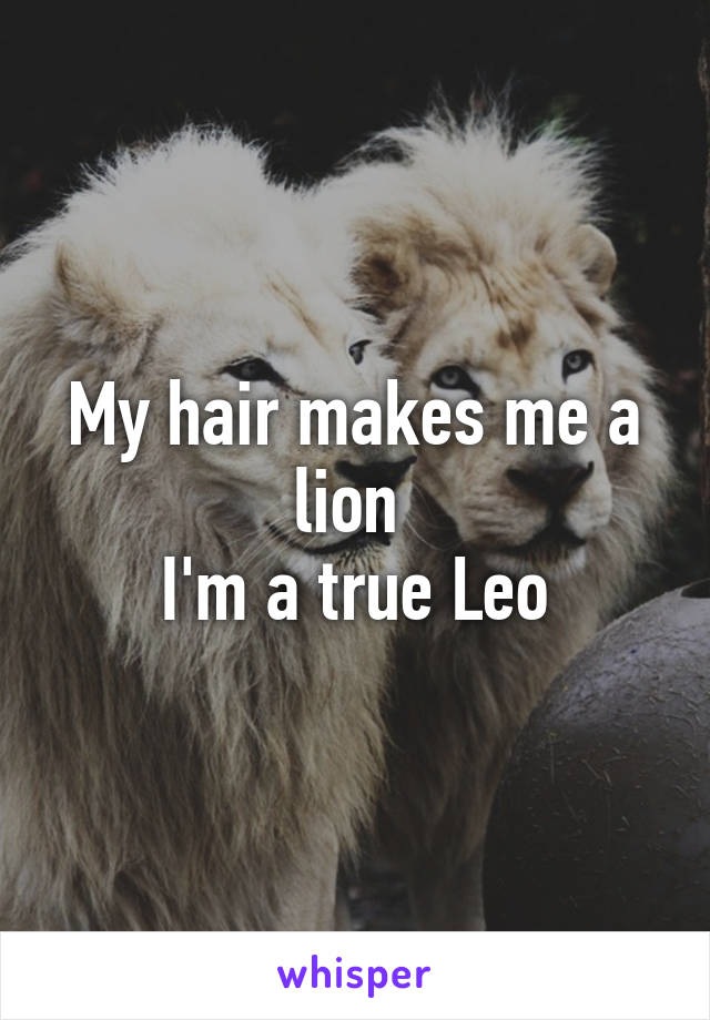 My hair makes me a lion 
I'm a true Leo